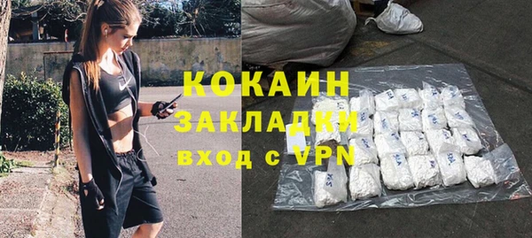 стаф Магас