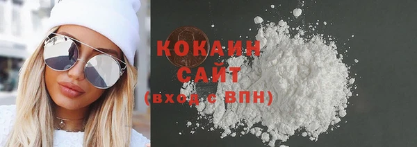 стаф Магас