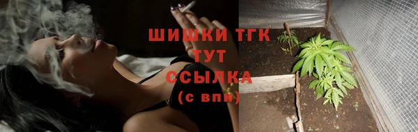 стаф Магас