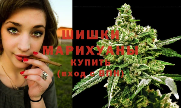 стаф Магас