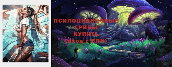 стаф Магас