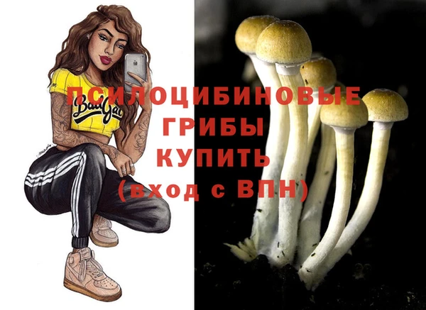 мяу мяу мука Гусиноозёрск