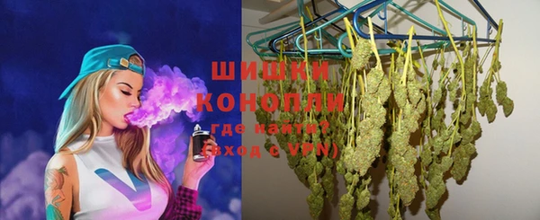 стаф Магас