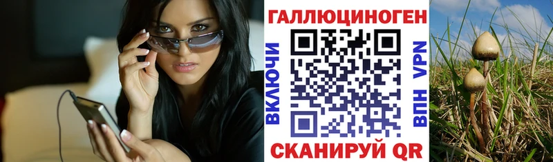 ОМГ ОМГ ТОР Зуевка Галлюциногенные грибы Cubensis