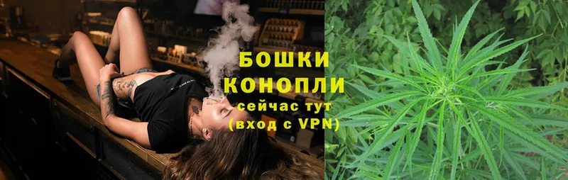 где купить наркотик  Зуевка  Бошки марихуана White Widow 